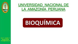 José V. Aguilar V.
Docente Auxiliar
viravas@hotmail.com
UNIVERSIDAD NACIONAL DE
LA AMAZONÍA PERUANA
 