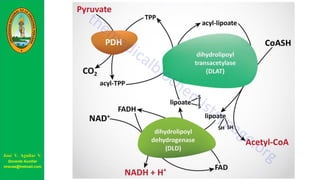 José V. Aguilar V.
Docente Auxiliar
viravas@hotmail.com
 