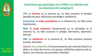 Coenzimas que participan en la PDH y su relación con
las vitaminas del complejo B:
TPP. La tiamina es la vitamina B1. Su falta ocasiona el beriberi
(perdida de peso, disfunción neurológica, temblores).
CoenzimaA. El ácido pantoténico es la Vitamina B5. Su falta causa
hipertensión.
NAD. El ácido nicotínico (nicotinamida es su derivado) es la
vitamina B3. Su falta ocasiona la pelagra (dermatitis, depresión,
diarrea)
FAD. La riboflavina es la vitamina B2. Su falta ocasiona lesiones
bucales, dermatitis
Lipoato: no es vitamina. El envenenamiento por arsenito (AsO3
3-) se
debe a la unión del mismo a los grupos sulfhidrilos próximos del ac.
lipoico. Los síntomas son parecidos al beriberi.
José V. Aguilar V.
Docente Auxiliar
viravas@hotmail.com
 