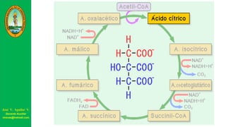 José V. Aguilar V.
Docente Auxiliar
viravas@hotmail.com
 