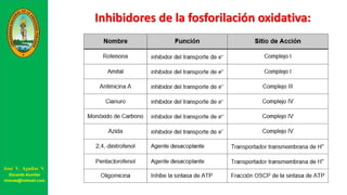 Inhibidores de la fosforilación oxidativa:
José V. Aguilar V.
Docente Auxiliar
viravas@hotmail.com
 
