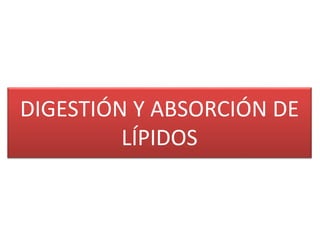 DIGESTIÓN Y ABSORCIÓN DE
LÍPIDOS
 