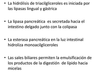 • La hidrólisis de triacilgliceroles es iniciada por
las lipasas lingual y gástrica
• La lipasa pancreática es secretada hacia el
intestino delgado junto con la colipasa
• La esterasa pancreática en la luz intestinal
hidroliza monoacilgliceroles
• Las sales biliares permiten la emulsificación de
los productos de la digestión de lípido hacia
micelas
 