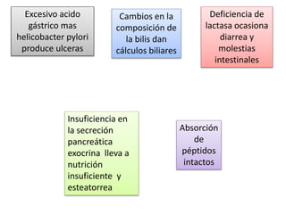 Excesivo acido
gástrico mas
helicobacter pylori
produce ulceras
Cambios en la
composición de
la bilis dan
cálculos biliares
Deficiencia de
lactasa ocasiona
diarrea y
molestias
intestinales
Insuficiencia en
la secreción
pancreática
exocrina lleva a
nutrición
insuficiente y
esteatorrea
Absorción
de
péptidos
intactos
 
