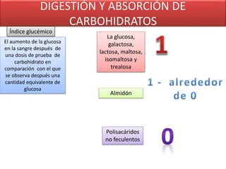 DIGESTIÓN Y ABSORCIÓN DE
CARBOHIDRATOS
Índice glucémico
El aumento de la glucosa
en la sangre después de
una dosis de prueba de
carbohidrato en
comparación con el que
se observa después una
cantidad equivalente de
glucosa
La glucosa,
galactosa,
lactosa, maltosa,
isomaltosa y
trealosa
Almidón
Polisacáridos
no feculentos
 