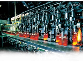 Env.Emb. y Transp. Ing° Gerardo Augusto Venegas 33
 