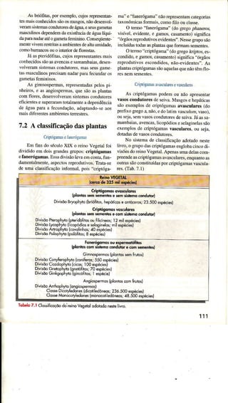 As briófitâs,porexemplo,cujosrcp€sentân-
tesrnâisconhecidossãoosmusgos,úo desenvoÌ-
veramsistemascondutoÍesdeágua,esêusgâmerâs
mascuÌinosdependemdaexistênciadeágualíqü-
d.rparanâdaraleogameÌâiemiruno.Conseqüenle-
mentevivemresiritasaambientesdeâÌtaumidade,
comobarrancosouo interiordeflorestâs.
JáaspieÌidófitas,cujosrepresentânresmâjs
coühecidossãoasavencasesâmambaias,desen
volveramsistemascondutoresjmasseusgâme
tasrnasculinospÍecisamnadâÌparafecundaros
As gmnospe.mas,ÌepresentadaspeÌospi
nheiros.e asatrgiosperÍnas.que sãoasplântas
comfloÌes. desenvoÌveramsisremascondurores
eljcìentesesuperarâmtotalmenreâdependência
de águaparaâ fecundação,adâptândo-seêos
maisdifercntesambientestenesrres.
7,2 A classificaçãodasplantas
CÍìptógamasefâncÌóglnìas
Em fins do séculoXIX o reino Vegetalfoi
dividido emdois gÌandesgruposrcripíógamas
etanerógâmas.Essâdivisãolevaemconta,firn-
damentalmente,aspectosreproduúvos.Trata-se
de uma classificâçãoinfomal, pojs "cripróga-
Ìna' e 'Tanerógâma'nãorepÌesentamcaregoriâs
tâxonômicasfomais. cornofilo ouclasse.
O terÌno"faneúgaÍìâ" (do g|egophanercs,
visível, evidente,e gamo' casamento)significâ
"óÌgãosreprodutivosevidentes,'.Nessegruposão
incluídastodasâsplantasquefomam sementes.
O telmo"criptógânt' (dogregolüipros,es-
condido,e gamos,câsamento)significâ..órgãos
reprodütivosescondjdos,não-evidentes,..As
pÌântascriptógamassãoaquelasquenãotêmflo-
Criplóganasâlasculârcserasculares
As criptógamâspodêmou não apresentar
vasoscondutoÌesdeseìva.Musgose bepáticas
sãoexemplosde cíiprógâmasavasculâres(do
prefixogregoa,não,edoìârimvascutüÌr,vaso),
ouseja,semvasosconduroresdeseiva.Jáassa-
mambâias,avencas,licopódioseseÌaginelassão
exeÌnplosde criptógamâsvâscuÌares,ou sejâ,
dotadasdevasoscondurores.
No sìstemâde classifïcâçãoadoradonesre
Ìir:ro,o grüpodascriptógamâsenglobâcincodi-
visõesdoÍeinoVegelâI.ApenasumadeÌascom-
preendeascriptógarÌÌasavascuÌares,enquanroas
outrassãoconstituídasporcripúigamâsvascuÌa-
res.(Tab.7.1)
lobelo7.1Clo$iÍicoçôodi reinoVesetdlodobdonestelivro.
111
C ptó90mo3ow*ulorcs
{pbnlos Em s enler e sâlnsistemo.onduiorl
DivkôoSryophyto(brióÍiios,hêpóticose onócercr;23.500êspéciêsl
Criplôgomosw5.ulorc3
{plon|os!êm sdeniê, ê coÌnrisiemo(onduioíl
Dviúo Pterophy'o{ptedoÍi.osoufliciros; l2 mile5p€ci€s)
DiÌiúo Lycopbiô(iicopódiose seloginelos;n,lespé.iesl
DivisòoÁdrópliyro{cô;olinhos;AOeìoecieiì
DiviiõoPsilophyto{piiloÍitos,8 especiet
. fqnéógomo!' ou esp€Ìmot'áfftos
Íplonbs colÍ 3Ètem (onduìor ê coD smdies)
cimnospêrmos(plon|os3êmÍruics)
DivisòoConyhrophylo{conibrcij550e5pàcie5l
DivkõoC,codophybí.ico5;ì00 esp*iêsl
DiviidoGnetophy'o(gnêtòfiro5;70 esp*iesl
Divl5ôoGinlsoph/o lsincófitosji especie)
Ansiospermos{plôntos@mFvtcs)
DivisòoAirhôph)Ìolonsiospêmot
Clo$eDko'yledoFesldicôrilêdônesi23ó.500ôspéc,esl
Clo$eMondotledones(monocoriledôneosr48.500ospácied
 