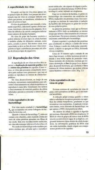 A especificidadedosvírus
Em geÍal.umtipo devÍus âtâcaapenasüm
oupoìcostiposdecéÌuÌa.lssopoíqüeumdeleÌ-
minadoÌìpo de vírus sóconsegueiúèctar ümâ
célülâquepossua.nâm,embrana,substânciasàs
quaiseÌepossaseÌigaÌ.
OvírusdâpoÌiomielite,poÌ exemplo,éaÌÌa-
men!eespecifico.inÍertandoapenascélulâ'neF
rosas,inre.íinâisedamuco'âddgffganlJJào
 rru.darubéolâedardnúlâcon'egueminÍectar
maioÌnúmerodetecidoshumanos
O, rrru. degnpe,ãob:rânreerlreise
podemrÍìlecurdrveÍso.rìpo'deceìulahumâna
e tambémcélulasde dìferentesânimais,como
pat'.câvalo'e porroc.tm muirô.cd'os.e*â
caprcidâde'e deeaofârodee"e.riru' con'e
gLirem'e ligara 'ub'úncrarpre'enr'emcéìu-
lâsdedìversostiposdeorganismo.
2.3 Reproduçãodosvírus
A rcproduçãodeuÌì vírusenvolY€doisas-
pectosiâduplicaçãodo mâteriâl g€néticoviral
easíntesedasproteínasdocapsídio.Comov!
mos.osvÍrusnãopossuema maqumanâneces-
sáriapâÌâÍeaÌizaressesprocessose porissosó
podemsereproduzirno interior decéÌulashos
Os vírusdesenvolveram,ao Ìongode sua
evolução.mecânismossuÌpÍeendentespâÌasub-
vertefofuncionamentodâcélulahospedeiÌaese
reproduzirà custadelâ.GeralÌnenteeÌesinìbem
o tuncionâmentodo mâteriâlgenéticodacélulâ
infectadae pâssamacomândma síntesedepÌo_
Ciclo reprodutiYo deum
bacteriófago
Um vírus muito estudado é o bacterió{ago
T., qüe serepÌoduz em certas linhagens da bac-
têti:àEscheric hìa colí.
Quando o úÌion do bâcteriófago TaentÍa em
contato com âbâctúia, adereàpaÌedeceÌuÌêrpor
meio de ceía prolernâ.presenle.nâ' fibÌasde
.ua cJudâ.Seme.r rcconhecimenromolecuìd
un vlrusnáocon.egueinlecrata F,.h ' i.hia '.lt
Nr câudddo bacreriólagoe.rànrambemp'e
.enre. enzima, que. orivadasJpo' o reconhe.i
mentomoleculâÌ,sãocâpazesdedigeÌiÌ eperfu-
rarâpâÌededâcéÌutabâcterianâ.ODNA dobâc-
teriófagoé,então,ìnjetadonocìtopìasmâ.
Umaveznointeriordabâctéda,osgenesdo
bâcteÌiófagosãoüanscritosem nolécuÌâsde
RNA etraduzidosemFoteínasviÌais.IssoocoÍ-
rc porqueasenzìmâsde trânscriçãoe tÌadução
dabactérianãodìstinguemosgenes'doinvâsor
deseusFóprÌos genes.
As pdrnenâsFot€ínâsviÌâis quesefomâm
induzerno DNA viraÌ âsenuÌtipÌicar, aoÌnesrno
tempoqueinibemo tuncionâmenlodocromosso-
mobacteriano.Empoucosminutosabâctériâesú
totalmenÌecontrolâdapelobâcteriófago.
O passosegrìinteé âproduçãodaspÌoteínâs
queconstìtuirãoâscâbeçâse câüdasdosnovos
vírus.Câbeçae câüdasãoeÌâboÌadasseparadâ
mente,e depoisseagregâmâoDNA. forÍnândo
CeÌcade 30 minutosâpósa entradadeum
únicofâgoinvasoÌ,â célulabâcteriânajá estáre-
duzidaa umabolsâÌ€pletade paÍícuÌâs vÍaú.
Nessemomentosãoproduzidasenzimasqueinj
ciamadestÍuição.oulise(dogregoô,i}J, desuui
çáor.dâpaÍedebâderiãna.qüeârÍebenrde über:
cenrenâ'devirionsmâduro..quepodeminÍêúâr
outrâsbâctéÌiaserciniciâro cicìo.(Fig.2.2)
Ciclo reprodutivo de um
vírus degripe
ExistemcentenâsdevâÌiedadesdevÍrusde
gipe, todospoÍadoresdeRNA, quêé seumate
Íiâl he{editáÌio.
A infecçãogripal começaqüandoo vírion
âdeÍeasübstânciasÌ€ceptomspÌ€sentesnasuper
fïcie dâscéÌulashospedeiÌâs,geÌâlmenteasqüe
rcvestemasvjasÌespiÌâtóriâs.A paÍtículaviÍâlpe-
netrâinGirÂ,nissodiferindodobacteÌiófâgo,em
queâpenâso DNA viraÌpenetÍânacéluìâ.
No interior da célulâo capsídìoé dìgerido
porenziÌnas,libeÍandooRNAnocitoplasma.O
RNA dovírusdagripeedeoutrosvírusdeRNA
(excetoosretrovírìrs)écapazdeseduplicar,ori-
ginandoinúmeÍâscópiâsdentÌodacélulâhospe-
deiÍâ. As infoÍÌnaçõesgenéticasdo RNA viÌaÌ
sãoenÌãotraduzidas,dândoofgem aoscompo-
nenìesprotéicosdocâpsídio.
19
 