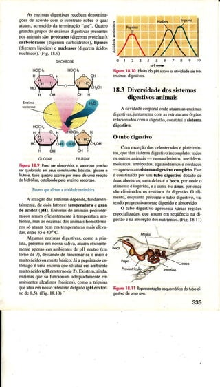 As enzimasdigestivasrecebemdenomina-
ções de âcordo com o substrâtosobre o quaÌ
âtìân, âcrescidoda terminação"âse". Qua.Ío
grandesgrüposde enzimasdigestivaspresentes
no. animâi sio: proiea.es rdigerempíoleinasì.
carboidrases (digerem caÌboidÍatos), lipases
(digerem lipídiot e trucleâses (diserern ácidos
nuclé;cos).(Fis. 18.9)
,E
:p
GUCOSE FRUÌOSE
Figurc18.9 Porose.obsoryido,o socorosepreì<
sd quebrodoem seusconsíluinieihósìcos:glìcos e
{Í!losè. E$q quebrcGore por meìode umoreçõo
dêhìdróli*,<ololiedopeloenzinoecorole.
falorcqu0,ìlduì rìatjlidrdrenzirìriricx
A atuaçãodâsenzimâs depende,fundamen
talmente, de dois fâtores: tempeÌâtura e grau
d€ âcidez (pH). Enzimâsde ânimaispecilotér
micos âtuam eficientemente à temperatura am-
bienle,mâsâsenzimâsdosanimaishomotérmi-
cos só atuâm bem em temperiturâs mais eleva
das.enÍe 35 e40o c.
Algumâs enzimâsdigestivas,como a ptia
Ìina" presente em Íossâ saliva, atuam eficiente
Ìnente âpenÀ em âmbientes de pH neutro (em
Ìomo de 7), deixandode funcionarse o meio é
muìto ácidoou muito básico.Jáa pepsinado es-
lômâgo é ìrmâ enzina que só atua em ambiente
muito ácido(pHem tomo de2)- Existem,ainda.
enzimas qu€ só funcionâm âdequâdâmenteem
ambÌentesalcalìnos(básicos),coÍno â tÍipsinâ
queatuaem nossointestinodelgâdô(pH em tor
no de 8.5).(Fig. 18.10)
01234567A91O
pH---->
Fisurq18.10 Eleirodo pH sobreo ortidodederês
18.3Diversidadedossistemas
digestivosanimais
A cavidadecorporalondeatuâmâsenzimâs
digestivas,juntamente coÌn asesÍuturas eórgãos
relacionadoscom â digestão.constituio sistema
digestivo.
O trbo digestivo
Com exceção dos ceÌenteradose platelmin-
tos,quetêmsistemâdigestivoincompleto,todos
os outros ânimaf nemâtelmintos, ânelídeos,
moluscos, âÍtrópodos, equinodeÍmos e cordados
âpresentâmsisfemâ digestivo completo. Este
é constituído por um tubo digestivo dorado de
duasâbeÍurâs; uma delâsé a bocâ. por ondeo
al;mentoé ingerido,e a outÍaé o ânü. por onde
sãoelim;nâdosos Íesíduosda digesrão.O ali-
mentô!enqüântopercorreo rübo digestivo.vai
sendopÍogÌessivâÌnente digeÍido e abso.vido.
O tubo digestivo âpresentavárias Íegiões
especiâlizadas,que âtuaÌnem seqÍiêncianâ di-
gestãoe na absoÍçãodosnuúentes.(Fig. 18.I 1)
FiguroI 8.I I RepÍsentoçôoeequenóticodo tubodi
335
SACAROSE
 