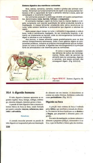 Slslêmadlgestlvodos mamíÍerosruminanlês
Bois,cabras,carnêiros,camêlos,veadose giraÍâssão animaisrumi-
nanles.Alimênlam-sêíundamenlalmenìedecapime deoutrasolantasheÊ
bácêâsê lêm a capacidadede fazero alimêntoretornarà boca,paraser
rsmastigados novamenìeengolìdo.
Os ruminantespossuemo estômagodivididoêmquatrocompartimen-
tos,dênominadosrume,barÍele,folhoso ê coagulâdoÍ,
O ruminantemastigao capimde formamâisou menosrápidae o en-
golê,junlamentecom grandequanlidadêde salivaproduzidadurantea
mastigação,A massaalimentarumed€cidapelasalivaacumula-seno
rumo,ondeexisìembactériase protozoáriosqus digerema celulosedo
capim.
Apóspassaralgumtêmpono rume,o alimentoé reguígitado6 vollaà
boca,ondêé calmamêntêmastigado,Âo ser novamenleengolido,o ali-
menlovai diretâmênteao baíete, ondeos micÍoorganismoscontinuama
digerira celulosêê a sê mullipiicar,
Aos poucos,a mâssaalimenìarpassagradativamentepaÍa os dols
últimoscomparlimênlosêstomacais,ondeo sucogástricodigeíeos com-
ponentesproléicos,inclusiveosprópriosmÌcroorganismosquesemulìipli-
caÍamno rumee nobaíreìe.A digestãodosmicroorganismosé a principal
fonlede aminoácidose de vilaminasparâos ruminantes.
O rumêe o baÍretesãoverdadei-
rascámarasde cullivode microoÍga-
nismos.Estes,alóm dê selviremde
alimentoparaosruminantes,digerem
a celulose,que essesanimaisnão
conseguêmdigerjr.(Fig.Q'|8.3-2)
FigordO18.3-2 Sisrêmodigestìvode
18.4 A digestiiohumana
O tubo digestivohumanoapresentâas se-
guintesÍegiões:boca.faringe,esôfago,estôma'
go,intestinodelgâdo,intestinogrossoe ânus.
A pârêdedotubodigestivotemamesmaes'
truturabásicadâ bocââo ânus,sendoformada
poÍ quatrocâmadas:mucosa,submucosâ,mus-
culâr e advenÍcia.
Peristaltrsnìo
A camadamuscuÌaÌprôsentenâ paÌededo
tubodigestivoéÌesponsávclp€Ìamovìmentação
338
do aìimentoem seuinterioÍ. A musculaturase
contrâiemondasrítmicas,fenômeno€onhecìdo
comoperistâÌtismo.(Fig.18.13)
Digestãona boca
A poÍção maisextemâda bocaé rodeada
peloslábios, queauxìliama tomadadeaÌimen
to.No interiordâbocâìocalizam-seosdentese
â língua,queprepaiamo alimentopaÌââ di-
gestão.
PoÍmeìodamastigação,osdentesreduzemo
aÌimentoâpequenosp€dâços,mistuÌando-oà sâ-
liva,o queiráfacilitaÍ afuturâaçãodâsenzimas.
 