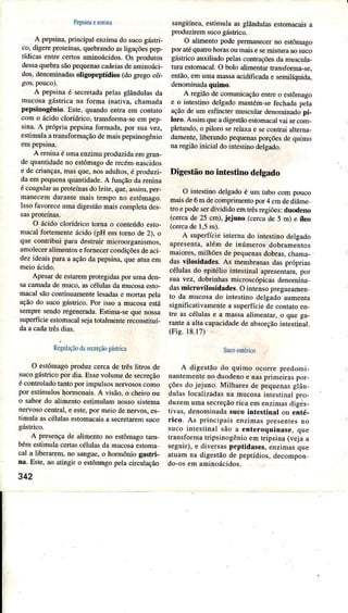 Pepsinaerenina
A pepsina,principalenzimado sucogá5rri-
co, digeÍeproteínas,quebmndoasligâçõespep-
tídicas entÍe certosaminoácidos.Os produros
dessaquebÍasáopequenascadeiasdeaminoáci-
dos.denomhada5oligopepíüos(dog|.egoo/t-
A pepsinaé secretadapelarglândulâsda
mucosêgástricana forma inativa,châmada
pepsinogênio.lste. quandoentrâem conrâlo
como ácidoclondrico.tÍatrsforÍna-seempep.
sioa.A pÍópriapepsìnalonÍÌâdÀpor suâver
estimulaâtÍansformaçãodemaispepsinogênio
empepslna.
A renúaeumaenlimâproduzidâemgran-
de quantidadeno estômagoderecémnascidos
e decrianças.mâi que.nosadulLos.ë produzi-
daempequenaquarl|dade.A tìnçáodareDinâ
ecoâguìaÌasproleínasdoleire.que.arim.peÍ-
manecemdurantemaisrempono eslómago.
IçsoÍâ!oreceümadjgeráomajcomptelades-
O ácidoclondncolomâo coDteúdoeslo-
macalfortemenreácido (pH em tomo de 2), o
que contribÌri pam destruir microorganismos,
amoleceÍaìimentosefomecercondiçõesdeâci
der ideaispaÍaa açdodapepsina.queatuâem
meioácido.
Apesard€eslarempmregidaspoÍ umaden-
sacârnadademuco,ascélulasdâmucosaesto-
ÌnacâìsàoconÌinuamenÌeìesadae monaspetr
açãodo sucogástrico.Poriso a mucosaes!,
sempresendoregenerada.Esrima-sequenossa
superfícieesromacalsejâtotalmentercconstituí-
daacadatlêsdiâs.
Regulaçãodasecr{ãogá$lica
O estôÌrÌagoproduzceÍca detrês litros de
sucogástricopor dia.EssevoÌÌÌmede secÍeção
é conroÌado tantoporimpulsosnervososcomo
por esímulos hormonais.A visão,o cheiro ou
o sabordo alimento estimulamnossosistema
nervosocentlâl,e este,por meio den€fvos,es-
timulâ âscélulasesromâcâisâ secÍerâremsuco
gástrico.
A presençade alimenrono estômâgotam-
bémestimúa ceÍtâscélulasdâ mucosaesroma
cal a ljberarem,no sangue,o hoÍmônio gastri-
Ìâ. Esie,ao atingìro estôÍìâgotr'elacfculação
342
sangúnea,estimulaasglândulasestomacaisa
pÍoduzfem sucogástrico.
O alÌmenlopodeperÍÌâÍetÊrnoÊsrómagu
poratéqüâtrohorasoumaisesemisruÌaaosuco
gástrìcoauxiliadopelâscontÍaçõesdâmuscula-
luraesloÍÌâcal.O boloalirnenlartÍansforÌÌÌa-sr,
enlão.emumãmassaacidificadae lemjtíquida.
denoÍnìnadaquimo.
A regiãodecomunicaçãoentreo estômago
e o intestino delgadomanrém-sefe€hâdâpela
açãodeumeslrncÌermuçculaÍdenominâdopi-
lom.ÂslimqueâdigesLàoeromâcal!aj seconF
plelândo.o prloroserelaìae secontÍajâttemà-
damente,libeÍandopequenaspoÍçõesdequimo
naÍegiãoinicìal doinrestinodelgado.
Digestãono int€stino delgado
O intestinodelgadoé ìrm rubo com pouco
maisde6 mdecomprimenlopoÍ4 cmdediâm€-
iro epodeserdìüdido elntÌêsr€giões:duodeno
(ceÍcade 25 cÍn),jejuno (cercade 5 m) e íteo
(cercade 1,5m).
A supêrfície inrema do intesrino delgado
âpresenta,âÌém de inúmerosdobÍâmentos
mâiores.miÌhõesdepequenadobras,châma-
das vilosidades. As membünas dâs própÍias
célulasdo epitétioiniesünâtapresenlam.poÍ
suavez.dobriúas microscópicâsdenomjna
dasmi(rovilosidâdês.O inlensop'egueamen
to dâ mucosado intestinodelgadoaumenrâ
significativamentea superfÍciedeconlaloen-
tre ai célulase a ÍÌâssaal;menlaÍ.o quega-
ranteâ aÌtâcapacidâdede abso.çãointestinâl
(Fis.18.17)
SucoentéÍico
A digestãodo quimo ocorre predomi-
nânlemenlenoduodenoe naçprineiraspor
çòesdojeJuno.MilhaÍesde pequenaçgtân
dulâslocalizadasna mucosâìnlesrinatpro-
duzemumâsecreçãoricaemen/imaçdiges_
Ìiras.denominâdasucoinrestinalou enté-
rico. As pÍincipaisenrima presenÍe!no
sucoinlesLioaìsào a enteroquitrâs€.quL
tranformalripsinogéoioemtíipsinarvejâI
seguiÍ),e divenas peptidases,enzimasque
atuâmna digestãode peptídios,decompon
do-osem aminoácidos.
 