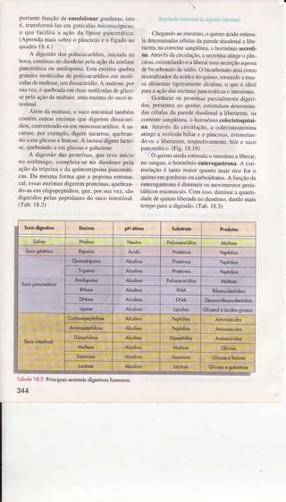 porlantetrnçÌo de cmulsionârgofduras.isto
é, (ìrrsliìrmÍ lasenìgorícuhsnìi.foscópicrs,
o !ue faciÌitâ r xçeo d:ì lipasc pancrejrjcr.
(^pÌcÌ.liì rìais sobreo pâncÍcâse o fígrdo no
qL'rdìl) ì ll.:1.)
A digesLÌodos polìssacrídios.iniciada D.L
bocr. contiìnu no duodcnop.h lrçãodâ âììilase
p.ìncreáLic^ou anìik4rsina.I-;sraenzinú .luebra
grandesììdéculas dc tolilsacrrídios enr ÌnoÌé-
cul:rsdc nraltose.uìÌ dissìcafídio.A ìnrlÌose.for
suavez,ó.luebradaenr.hrs Ìnoléculâsd. gÌico,
sepelaâçãoda nìaltasc.uììaeJrzìnâc{osucoin,
Alénìdr rìâlt$e. o sucoìntcstinaltambéìn
coDtóìrìoulÍ.ìs cÌziÌnas qLìcdigefenìdissâcrrí
d()sj co1ìvcrlcÌdo-oseÌn nroDossxcaÍídìos.A sr
crrxse,por cxenìplo.digcre sìcarosc.qtrcbran
do xenìglicose e frutose.A hctasedigerì:ihcto
sc,.luebrando{ eln glicoscc gal!ìdose.
A digcsLãodaspÍotcín^s.que relc inícìo
Do esÌônrrgo.conpleLr se no duodcDopeÌa
açãodr tÌipsirìrìc dâ quinroÌrjpsiÍrp{ncfejri
cas. Dâ ììesnìa Íì)rmr que :r pepsìn.ìestonÌ.ì
crl css.ìsenziÌrìasdigererììprolcín.ìs.qLrebr.ì
do rs cDroligopcplídìos.que.por suâ!ez, sào
digeÍi&)spelaspcptidâsesdo sucointesÌiral.
(Tab.18.2)
ClìcsrDdoro inreíino.o quinxrácdo esrnntr
ladelenÌìnradas.élülasdr pareclcdüodenâÌI Ìjhc
|.lrrÈrìì.r conrnres,rDgiiirea.o honÌônio secreri-
nâ.,ÌlìJs dâcirculacão.asec.crirnatingeo pân
crt.ìs.cstinrulândo,oaÌibefüumx secÌeção.Lquosrì
dc bicrdronarode sódi{).O bicâúonarorLLuconÌo
DcuLralìzadordaâcicìcrdo(tuimo.ÌorÌÌ,ìndoa Ìras,
r âliÌnentarligeìraÌÌcntedÌcâlìna.o quc é iderìl
pìn! ìça()dtìsenznììaspaÌrcrcriricrse inLcstin.ris.
l-ìordlrraso! pìoteúìasfxfciaÌìncnredigeri
das.presenles o qurÌnojcstimulamdereininâ
dascéluÌâscl.ìprr.de duodenrl .ì Ìibennem,nr
correntesrngiiíneâ.o hofDÌôrio coÌrcistoquini-
nâ. rú'r!ús dâ circÌrÌação.a colecisroquiniÌx
atnÌgca vcsículabiÌlar e o pâncreas.eíiÌDUlan
do-.,sì Ìibcrarenì.fespcctivrncnre.bìte e suco
parcÍcático.(Ìiig Liì.19)
OqtrnÌo aindâestnìuh o inrestinoa Ììbcnr,
ro sangue,o lrofmon() ent€rogastronâ.A esti
ìÌulâçiio é tarto Ìnrio qu{Ìto mris .i.o tìf o
quiÌnoenìgordurrsou caÌboidratos.A funçàoda
enterogrsÌronaó diÌninnir os moviìÌcnlos peris
tálticoseÍonÌacris. CorÌìisso.diúÌnNiâ lluanÌi
clrdedequrnìolibcrxdr ro duodeno,dandoDÌals
lcmpo fam a drgestào.(T.ìb. l8 3)
DNA DêsôxiÍibonuct6ridios
Glkêrole ócidosgrdxos
Principoisenzimdsdigestivosh!monos
344
 