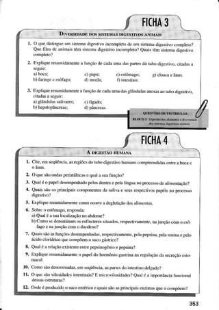2.
3.
4.
respectrvamenlc,nalunçãocom o csô
10.
ll.
t2-
 
