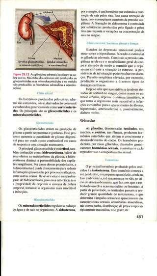 tisuro23.12 Àsglôndulosodrenoisleolizom'sèso-
breosrins.No<órlqdosôdrenoissõoproduzidosos
slicocorticóideseosmìnêrôlocort'icóidese nomêdulo
sõoprcdúzidososhomôniosÒdrenoliioe norodrê
CórÌ*r{lÌrnxl
OshormôniosproduzidospeÌocóÍex aúe-
nâl sãoesteróides,istoé,derìvadosdocolesterol
econhecidosgenericâmentecomocorticosterói-
des.OsprincipâissãoosglicocoÌticóidese os
minerâlocorticóides.
CÌÌr(ortì.rltrlc.
Os glicocoúicóidesatuâmnaproduçãode
gljcoseâpârtirdeproteínasegorduras.Essepro-
cessoaumentâa quantidadedegljcosedisporí-
velparaserüsadâcomocombustívelemcasos
derespostaâLtmasituaçãoestressânte.
OprincipalglicocoÍtjcóideéo cortisol, taÍn
béÌnconhqcidocomohidrocortisona.-AÌémde
seusôfeitosnometâbolismodaglicose,ahidÌo
cortisonadiminuia penneabilidadedoscâpilâ-
ressângüíneos.PorcâusâdessaspÌoprìedades,â
hidrocoÍisonaéusadâclinicâmenteparareduzir
inÍlamaçõespÌovocadasporprocessosaÌérgicos,
entreoutrascoisas.Deve seevitaro usoprolon,
gadodehiúocoíisonâ, poisessasubstânciaiem
a propriedadededeprjmiro sisremadedefesâ
corÌroral.tornandoo organismomaissuscetível
ItlirìtrìÌonrrlÍit1a
Osminerâlocorticóidesregulan o balanço
deáguâe desaisnoorg;isÍno. A âldosterona,
Ê'reempìo. é um hormonioqueenmutã! rcab-
sìio de sr5 pelosrin5.l,o cau5aÍerençáode
âpuâ.comcon.eqüene aumenrodr pre(áo un
güíneâ.A liberaçãode aldosteronaé conrÌoÌâda
poÍ substânciasprodüzidaspeto fígado e petos
rin' em repo5rad vâriacóenaconcenÍ'â(;o de
E.L.rronr.i(n. homrôroi rihu ji cdoerÇis
E.rado' de dêpres,âoemociondltodem
uruarsobreo hipo'dlJmo.ta,/endo-oc.rimutaí
asglânduÌâsadrenâis Com isso.apressãosan.
rüineaseelevac !' merâboti,mogetutdo coÊ
po e alre'JdoJe modúa permirirque o oÍpâ
ni,mo enncnred rtuâ(ro de errese. A pel
5içrènciâJe rrì ,irucc;opode
'esuìrarem
doen
ça,. Pre$âo ãng rne, eleadd.pr exempto
predr,póeo orrrnrim!ì i drve^, |lpos dr
Hôjc'e,abe queâpersr.rénciadenÀei, ete
vâdosde cortisolno sangìe!como ocoÌÌeno es-
rrc'ìe crõnico.deprimeo si'remaimunitârio,,
que toÌna o orgânismomâis susceÌívelâ infec-
çõese contribui pâÍâ o apaÌecimenro de úÌceras,
hipeítensão,arterioscterosee, possiveÌmente.
Gônadas
As gôìradâs,denominadastestículos.nos
nìâchos,e ovários, nâsfêmeas,produzemhor-
môniosesteróidesque afetamo cÌescimentoe
desenvoÌvimentodo corpo.Os honnôniospÍo-
duzidospor essâsglândülas.châÌnadosgeneri-
camentehormôniossexuâis,conlrolamo cicÌo
reprodutÌvoe o compoÌtamenrosexuaì.
Ì.(.ÍÈ 1rL
OprincipalhormôniopÌoduzidopelostesrí-
cuÌoséatestosteronâ.Essehormôniocomeçaa
serpÍoduzjdo,empequenaquanridâde.aindana
ÍàseembrionáÌia,eésuapresençaoünão,noiní-
ciododesenvolvimento,quefazcomqueo em-
bdãodesenvolvasexomascuÌinooufeminìno.A
pâÍir dâpuberdade.ostestículospâssamapro-
duzir grand€quantidadede resÌosterona!o que
deteminao impulsosexuâleoâparelimentodas
cancterísticassexuaissecundáriasÍnâsculinas,
taiscomobârbâ,distribuiçãodepêÌoscorporais
iìpìcamentenssculina,vozgraveerc.
451
 