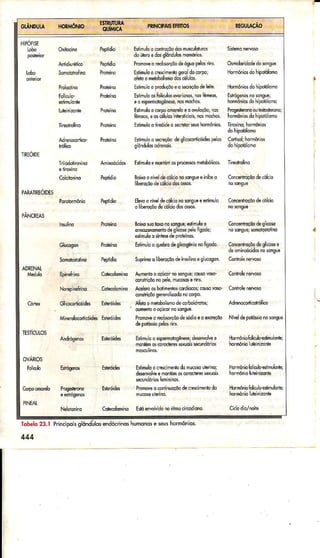 PARATìREOIDES
PANCREAS
HPOUSË
Ì RÓIDE
ADRENAI
Estimuloo contÍoçõodormusuldrurcs
doúbó êdosglôndulosmomóias.
P@mMo dbso'çõo deóguopelosins.
Eíimuloo dsclmênroqêÍoldocorpo,
dËbo mèbbolilnôdo;@l!los.
Estimuo o prcduçôoeo 3eÍêçõodeleil€.
Estimuloosbliculosmrionos, nostumeos,
ea êspemoiôgêíêe,nosmo.hos.
Erlmuloo coÍpoomoreloeo mlaçôo, nos
hms, e6.élu05inre6Ícìais,nosmocho!.
Esrimúloo tireóidêo $.relor FushÒmônios
EtimuôôseruçòodeglcodioidB pêd
Estlmuloeíoôtémo! prdesos mêlllhói6.
Boixoo nivêldêcóklonosonsuêe inibêo
lihomçõodecôlciod6osss.
Ehvoo nivêd€cólcÌôío ún!@ estimua
o libêroçôodeólcio dosos!;.
Boirc$o hÌo nolonoue:Btlnuloô
omozenomeniodes io; pêo Íigodo;
e!Ímuloo sínièedôprcrêínos.
Estimuo o quêbÍodêgli@gânionôfigodo
supÍinêo lÌbsoçõodeinslinoeg @gon.
Aunalo o oçú@rnoionguelcoue vo$_
Míri9ôo nopãlê,mu.ososerins,
!@leÍo6 boímênroscoÍdid@s;cous rcs_
coBiÌiçôogônëroituddno@Ao.
AÍeh o rebbo ismodêcorboidrcils,
oumentÕo oçú.ornolongue,
Prcm@o Hb5oqõo de,adioeo sccçôo
Estìmuo o espsmotogêm*,déêMlve e
mdnúmôs$rÕcr€ress*uoissúdóios
Es[muldo (Bc]m6nbdonu(os lierlnd,
deeMh€ ê monlénoscorccteress*uois
PMm o @irinúoçõode.rusimênbdo
E5lúúvoMdõno ircci@diono
ErÍógÌrcsrc $ngue
Prcqesle@oôuhsbsleÍdo;
Ni€l depolú$lonosonguê
Hdmôíiohlioloesì,muonre;
l_lormônioÍoí@b.6umulo'ìh,
Hdmônio6lrcllo€itimulmiej
Eíc!|os
ovaRtos
PNEAT
Tobelo23.1 Principdkglôndulosêndó.rindshumonose seus
444
 