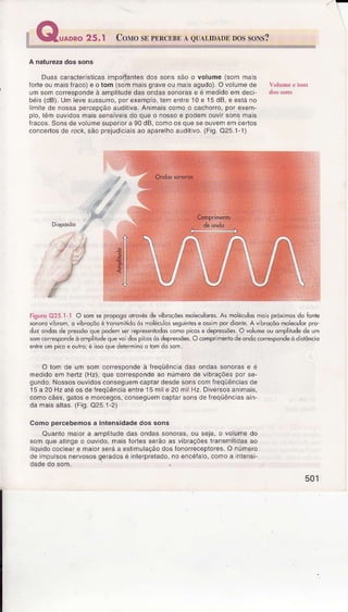 uaDRo25.1 ConrosrpnncorrI eu,[m'Drlos soxs?
A naturezâdos sons
Duascaraclêrisiicasimporianlesdossonssãoo volume(sornmas
ÍorleoumaisÍraco)e o tom (somnìaisgraveoumas agudo).Ovolumede
umsoÍncorÍesDondeà aÍnDliludedasondassonorase é Ínedidoemdeci'
béis(dB).UÍnlevesussurro,porexempo.lenìenlre10e 15dB,e esláno
imÌtede nossapercepçãoauditva.Anmâiscomoo cachorro,porexem
p o,lêmouvdosmaissensíves doqueo nossoe podemouvr sonsrnais
Iracos.SonsdevoumesupeÍoÍâ 90dB,cornoosqLrêseouverìemcêrtos
conceÍlosde rock,sãoprejudciâìsâoapaÍelhoa!ditvo.(Fig.Q25.1'1)
Fìgu.o Q25.Ì-l O som se propogo orrovésde vibroçõesmoeculores.As moéculosmoÈ póximas do Íonle
sonorcvibrcm, o vibroçôoé ÌronsmliidÕòs moléc!os sêguiiiese o$lm por dionte.Avlhroçõo mÕëculorpro
duz ondosde pre*õo que podemser represenlodoscomô picosê depre$ôes.O volumeou omphtudede um
somcorcspôndea'omplltudequevol dospltôs òsdepre$ões O comprimentodeoôda coÍrespondeòd stôn.iÕ
enlreum picÕe outro;é issoque deierminoô rômdô som.
O lom dê umsomcorrespondeà Íreqüêncadasondassonorase é
medidoernhertz(Hz),quecoíespondeao nÚnìêrode vibraçõespofse-
gundo.NossosouvidosconseguemcaptardesdesonscomÍreqüênciasde
15a 20HzaÌéosdeireqüênciâentre15mle 20nìi Hz.Diversosanmais,
conìocães,galose r.orcegos,conseguemcaptarsonsdefreqüênciâsain
dânìaisallâs.(Fig.O25.1-2)
Comopeícebemosa intênsidadedos sons
Quantomâoí a aínplludedasondassonoÍas,ou seja,o volumedo
somquealìngeo ouvdo,maisloriesseráoasvibraçóesÍansnìilldasao
líquidococeare maioÍseráa estmulaçãodoslonoÍecêpÌofes.o rìúr.ero
deimpusosneryososgeradosé interpretadonoencéÍao,cornoa niensi-
dadedosom.
501
 