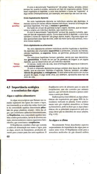 O cicloé denominado"haplobionle"(dogrego/ìaplos,simples,único)
porquêhá,quantoà ploidia,somenleumtipodê organismoadulto.Como
osseorganismoé haplóide,o ciclolevalambémo nomede "haplonte".A
algaetde Chlamydomotas,porexemplo,lêm essêtipodeciclodêvida.
clclo haplobiontêdiplonte
No ciclohaplobiontediplont€os indivÍduosadullossãodiplóides.A
meiosêocoíe emcertascálulasdessesindivíduos,levandoàíormaçãodê
gamêtâshaplóides.Porisso,a melosëé gamélica.
DaÍusãode umpardêgametassurgeo zigoìo,diplóide,quesedêsên-
volvee originaumindivíduodiplóide,qu€repetiráo ciclo.
O cicloé denominado"haplobionte"poíquehá,quanloà ploidia,ape_
nasumtipodeorganismoadullo.Comoêsseadultoé diplóidê,o cicloleva
lambémo nomedê "diplonìe"(dogregodiplos,duplo).AlgumâsâLgasver-
desapresentamêsselipodeciclo,alémdarnaiorparledosanimais,inc!-
sivenossaespécie,
Ciclo dioloblonleou altêrnante
Nociclodiplobionleexistemindivíduosadultoshaplóidese dipìóides.
Os diplóidessãochamadosespoÌóÍitos e produzem,âlravésda meiose,
célulashaplóidês,os esporos. Estes,ao germinar,produzemindìvíduos
haplóides.
Os indivíduoshaplóidesfoÍmamqametas,sendopor issodenomina-
dos gametóíitos.A íusáode uÍnparde gametasdá oÍigema umzigoto
diplóidê,quesedesenvolvêêmumindivíduodiplóide.
A mêiose,nesteciclodevida,levaà foÍmaçãodeesporose é denomi-
nadameloseesDórica.
O cicloé chamadodiplobionleporqusêxislemdoistiposde indivÍduo
adulto,quese allêrnam:diplóidee haplóide.Fala-se,tânbém,em aller-
nânciadê gêíaçóesoumelagênes€.O cicloaliernanleocoíe emmuiios
gruposde algas.A algaveÍdeu/va,porexemplo,apresentaessetipo de
4.5 Importânciaecológica
e econômicadasalgas
Algas ecqdeiasalimentares
As algasmicroscópicâsqueflutuamnâscâ-
madassupeÌioresdâságuasdosmarese Ìâgos,
movimentando-seâosaboÌdâsondas.fdzeÍnpaÌ-
te da cornunidâdeâquáti€adenominadâplânc-
ton (do gÍegopiârl-Íor, errante).Além dasaÌ-
gas,queconstihÌemoplânctonfotossinteúzânte,
oufitoplâncton, essâcomunidadeaquáticâtam-
bémcontérnpÍotomáÌios,larvasdediveÍsosâni-
mais.microcrüstáceoseoutrosorganismoshete-
rót ofos,queconstltuemo zooplâncton.
O fitoplânctonconstitú abasequesustenta
a cadeiâdeâlimenÌaçãonosInarcse lâgos,pois
asalgas,âtrâvésda fotossíntese.pÌodrzem ali-
mentoprrâ a mâiorpaíe dosseresaquáticos.O
60
fitoplânctonseÌvede aÌimentoprÌâ os seÍesdo
zooplâncton,que são cornidospor ânimais
maiores,queservemdeaÌimentoâpeìxescaní-
vorose assimpordiante.
EmborapâÌeçâinacreditável,asâlgâsplanc-
iônicassãoresponsáveispor quase909údâfo-
iossíntesereâlizadano planeta.ComoprâÌica-
menÌetodo gásoxigênio atúosférico seformâ
nafotossíntese,pode-sedizerqueâsâÌgaspÌanc-
tônicassãoâspdncipâisÌ€sponsáveispelêple-
sençadessegásnâatmosferâdenossopÌaneta.
(Fig.4.16)
Asalgaseoclima
Recentementeloram descobeÍosaspectos
surpreendentesdaimportânciadâsalgasparaos
outrosseresvivos. O fÌtoplânctonemitepiÌà â
âtmosferamoléculâsdo gásdimetil sulfeto
 