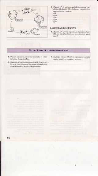 4, (Fuvest-SP)O esquenaaoÌadoÍeprsenta o ci'
clo devidadaaÌBaUlvá.IndÌqueaetãpadociclo
emqle @ore ameiose.
a)L
b)tr.
c)Itr.
d)rv.
*.r-*X'
V.,u=* J%
/**- =vÌ /eÍgdn6nô
â // / núrcedol
"x"'--96--"ffi*
B.QUESTÃODISCURSIVA
s. (FuvesfsP) QuaÌaimpoÍâncja dasalgâsplânc-
tônÌcd (fito!Ìâncton)nosecossislenâsaquá-
Procue enumerd.de foma resumida,ascarâc-
lerístìcasílicd dealgas.
OquesignificãdizeÍqueúna espé.iedealgãtem
ciclodevi.la alteoante?EsquematizeoseÌemen
tosfündeenlãis dem ciclo alterndte.
3. Expliqueemquediferen ostiposdemeiosecha-
madGgmético, espórìcoezigótico.
2.
66
 