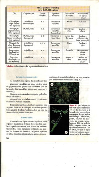 if#gfl'fd"ï#:3j'
Orgonizoçõo
lie""43
Chlorophy'o
2 mi espéciêt
Chrysoph),io
Glsosdoorodosr
Eusl-"nophy'o
500espéciesì
(dinoÍogelodos;
Ìobêlo4.1Clo$iÍcoçòodosolgosodotodonesteli' o
CdÌdcterísticasdasalgaslerdes
As caÌacteústicastípicasdascloÌolíceassão:
aì po-uú clorofilâsâ e b no' pla.lo,.dìen.
depigmenro,do, gÍuposdo cârotenosícordr
laranja)e dasxântofilas (pigmentosamarelos€
b) apresentaÌo amido comoprincipalsubs-
c) apresêntara celulosecomoconsÌituint€
básicodaspaÌedescelulares.
EssascaÌacteísticas,tambén presentesnos
vegetais,levarâmosbióÌogosâconcluirquean-
tigosgruposde aÌgasverdespodeÌÌ ter sìdoos
ancestraisdaspÌantâsterÌestÌes.
gânismos.trocândobenelïcjos.emurÌÌaassocìa-
çãodenoninadamutualismo.(Fig.4.5)
FbuE 4.5 {À)O tíqumdo
foi, mêdeopuimodom$ie
l0 .m dê diômetroe é
Iomodopêlo os*ioçõo &
wo 6p*ie dêolgo€Íd6 e
úmoderungo.Leíôr Iqussi
Porém,resuliomdo o$o
cioçõode fungose cìonô
bclérios. (BlA <d Ede do
hìdro,pequenoonimolde
úgwdoce.m@&dèlcm
do q|turc,d4-* ôs olsôs
reÍds micGepi@s quevi'
!m ro intqìdde suosélulos.
:
9
ê
E
,
HabÍ|tehábìtos
A maìoriadasâÌgâsverdesé aquática,com
espécìesmarinhasedeágüâdoce.Existemtam-
bémespécìestenestres,quevivememambien-
tesúrnidos,comobanancosFotegìdosoutron
cosde áÌvoresnasfloÌestas.AÌguÌnâsespécies
deâÌgâsmantêmíntima relaçãocomoutrosoÌ
50
 