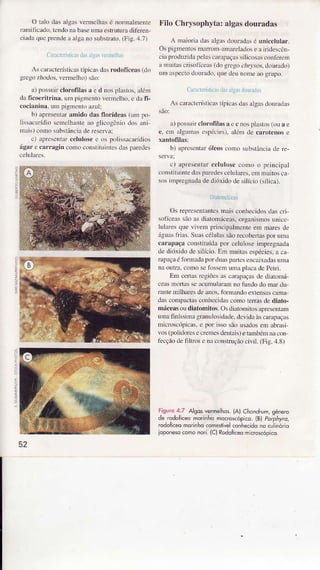 O Ìâlo das aÌgrs veÌÌììcÌhâsé nonnalmerìre
ranìifìcâdo.tendonabasermâ cstrutumdifèren-
.iada queprcndea algâno subsLrato.(Fig.:1.7)
C,ìÌriúiiti.rJs ÍLlr,r'ìelh
As .arâcterísÌicast4ricasdasrodoÍÍceãs(do
gnso r/rodos,venÌcÌho) são:
â) ÌrosslriÍclorofilâs â e d nosplaslos.aÌóm
d.ìIicoeritrinâ. urÌ pignrentovellnelho.e da fi-
cociânina.Ìrm pìgncnro azul:
b) aprcsenrrrâÌnido das florídeâs ( Ì po
lissrcafídio semclhote ao glicogôDn).k)s âni
mri!) conìosubstâÌcìtLderesenri
c) âpÍcseDtafcclulose c os polissacafídios
âgar e cãrràgin como coníiLLrintesdasparedes
l'ilo Chrysophytâtalgâsdouradâs
A Ìnaiorjâdasrlg,ìsdourâdasé unicclular.
OspigmentosmaÍoÌn aÌnaÍel.ìdose ajrdescêD
.ia pfoduzidâpeÌâscâr.Ìpaçâssilicosasco|rfèÍcm
â Ìnufas crisolíce$ (do grego.,/r,t'sos.dourÌdo)
unraspecrodounìdo,.ÌnedeuÌoDreaogÍupo.
(ì ,[(Òíirrci(L]xxS,rlor Ìrlô
As canctcÌ(Licrs típicÀ dasaÌgrsdourrdrs
são:
r) possuir cloroÍiÌàsâ c c nospÌ:ìsros(Nâe
e, enÌ rlgunas cstócies),âlénì de câÌotenos e
xantotilâs:
b) .ìprelentaróloos cono subsrânciade fe-
c) apresentârcelulosc como o prìncipal
constih'intedasparedescelulares,cìÌ Ìnuitosca,
sosiìnpresnadade dióxido de siìício (sílìca).
Drronìíc.r
Os represertantcsmais conhecidosdascri
sofíceassãoasdialomáceas!organismosunìcc
Ìulafesque vÌveÌn pÌincipâlmcDteem ÌÌìaresdc
ágüastÌias. SlrascéÌuÌâssãorecoheúaspor unìâ
câràp:rçâ constÌtuídâpor celuloseinìpregnrìd.ì
de dióxido de siÌícìo.Eìn nüiLasespécies.I c.ì
rapêçaéiomrÌdâ poÍ duasprìÌrcsencÂixadasunìr
na outfir.conìoserosseìnumr placâdePetrì.
Em cerlâsrcgiõesas corÌrÀçasde di.ìÌírì:í
ceasnÌoÌtrìsscâcumuhmmDofundo do nrârdu
rêlÍe mìlhares dc rDos.fomando exrensis cân
dascomprÌctâsconhccidascomo lef|asde diâto-
máceasoudiâtomitos.Osdiât(nÌirosâpresenroÌ
uÌnafiníssinagÍânuÌosidade,devidaàscarap.ìças
microscópìc,ìs.c por issosãousadoseln âb.rsi
vos(polidonsecrcnrcsdentâis)etambénn.ìcoÌ
fecçãode filúos e nâcoììsÍuçãociviÌ (Fig.4.8)
:
=
I
Fisuro 4,7 al9o5 vermehos {A) Chond,um sènero
de rodoticeo morinhô mo(o(ôpco 1B)PorpÉl,o,
rodohce morinho comeí,vêl conhecrdoio cu inório
iopoieso comônôri. {C)Rodoficeomicroscópico
52
 