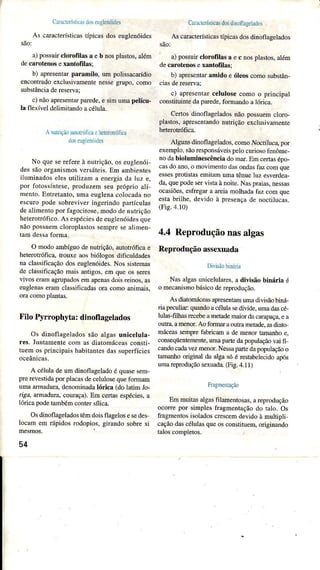 CanúeÍítjcasdoseuglenóides
As caracrerÂl;ca.Eprcdçdoseuglenóides
são:
âì posuir clorofilaòâ e b noçpla(ros.alem
decarotenose xanioftlâs;
b) apresenlâÌparamilo, um polissacarídio
encontradoexcÌusivamenÌenessegrupo,como
substânciadereserv4
c) nãoapresentarparede,e simumapelícu.
la Ílexível delimitandoacélulâ.
Anutriçãoâütolróficaeheterokóficâ
doscugenóides
No queseÍefereà nutÍição.oseuglenój-
dessãoorganismosveÍsáteis.Em âmbìentes
iluminadoselesutilìzaÌna energiada lüz e,
por tbtossíntese,pÌoduzemseupróprio ali-
mento.Entreranro,umaeuglenacoÌocadano
escuÌopodesobrêviveringerindopartículas
deâÌimentopoÍ fâgocitose,mododenutrição
heterotÌófico.As espéciesdeeugìenóidesque
nãopossuemcloroplastossempresealimen-
O modoambíguodenutrição,autotróficâe
heteroaófica.trouxe âosbiólogos dìficuldades
nacÌâssificaçãodoseuglenóides.Nossistemas
de cÌâssificaçãoÍnâisantigos,em qÌÌe os seres
vlvoseÌamagrupâdosemapenâsdoisÌeinos.as
euglenâseÍam classificadasora comoânimais,
Filo Pyrrophlta: dinoÍlag€lados
Os dinoflâgeladossão aÌgâsuíic€lula-
res. Juntamentecom asdiâtomáceasconsri-
tuemosprincipâishabitantesdassuperfícies
A céÌuladeum dinoflageladoé quasesem,
ple revestidaporpÌâcasdecelulosequefoÌmam
umaaÌmadura,denominadalórica (do latim Jo-
rigá, ârÌnadura.courâça).Em certâsespécies.a
lóricapodetambémcontersíica.
Osdinoflâgeladostêmdoisflagelosesedes
Ìocâmem rápidosrodopìos,girandosobresi
mesmos.
54
CaftclÈríìticasdosdinoflâgetâd0!
As caÌacreísricastípicaj dosdinoflagelêdos
são:
a)possuirctoÌofilâs a e c nospÌastos,além
decârot€nosexantofflâs;
b) apresentaÌamido e ólms comosubstân-
c) apÍesentarcelulosecomo o principâl
constituintedapâÌede,formandoaÌórica.
Certosdinoflâgeladosnão possuemcloro-
pÌastos,apÍesentândonurÍição exclusivamente
heterotróficâ.
Algunsdinoflagelados,comoNocfijuca,por
exempÌo,sãoresponsáveispelocuriosofenôme-
nodabiolumfuescênciâdomar.Emcertasépo-
casdoano,o movimentodasondâsfaz çomque
essespronstasemrtnmuÍnatênueluz esverdea-
da,quepodêservistaànoire.Naspraias,nessâs
ocasiõ€s,esfÌêgâÌâ areiâmolhadâfaz comque
estabriÌhe,devidoà presençâde nocrilucas.
(Fis.4.10)
4.4 Reproduçãonasalgas
Reproduçãoassexuada
Div'sãobináda
NasaÌgâsunicelulâÌes,a divisão biftáúa é
o mecanismobásicodereprodução.
AsdiatoÌúceâsapresenramumadiviúo biná-
napecutiar:qüandoâélula seúvìde,urÌladâscé-
Ìulas-filhasrecebeametademaiordâcarapaça,eâ
outra,amenorAoformaraoutrametade,asdiâro-
máceâsseÍìpr€fúricam â demenortamaúo e,
conseqúeniemente,umapâÍe dapopulaçãovaifi
candocâdâvezmenorNessapaÌredâpopulaçãoo
tamanhooriginaÌdâ algasóé restâbeÌecidoapós
uÌÌÌarepmduçãosexuâda.(Fig.4.11)
RagÌnenração
Emmütâs aÌgâsfilamentosas,areprodução
ocore por simpÌesfragmentaçãodo ralo.Os
frâgmentosisoladoscÍescemdevidoà muÌripli
caçãodascélulasqueosconsrituem,origìnando
taÌoscompletos.
 