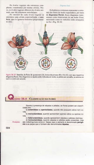 Os óvulos vegetaissão eÍruturas com-
plexas,constituídâspor muitâscélLrlas.Nis-
so,osóvulosvegetaisdiferemdosóvulosani-
ma1s.quesãoestruturasuniceluÌâres-
No interior de cadaóvuÌo vegetalse
encontraumacéÌulaespeciâìizada,a oos-
fera. queé o gametafeminino propriarnen-
Dir.,r'riülhüt
Osbotânicoscostumâmrepresentarâestru
turadasfloresdemodoesquemático.porÌneio
de diagrâmâsflorais. EssesdiagramasÌepre
sentamcortestrânsversâisdeum boÌãoflorâj,
mostrandocomoosveÍicilos estãoaÌrânjâdos
nâflor. (Fis.28.Ì0)
Fisuro28.ì0 Desenhosde Íroresde quorc5ìei! lÂJ,blin6-de-pin(*o
diogronosf orors.NosdiosrorosossepolosestÈoindicodosemve.dêos
oz0le o ovôrioemomorelô.
lBlê lírio{cl, comseusrespe<ïivôs
péiolosemvermelho,oseíomesem
PeÌigônio
Quantoà presençade sépalâsê pélales,asfloíêspodemserclasslii,
â) eclâmídeasouaperiantadâs,quândonãopossuemcállcenernco-
rolai
b) monoclemídeâ6,quandoapresentamapenascáliceou apenasco-
rolai
c) hêteroclamídeas,quândoapresentamsépalase pétatasdlstintasl
d) homoclamídeas,quandosépalasê pétalasestãopÍesentes,mas
sãoindistinguíveisentresÌ, Nessecasoo p6 ântoé denominadoperigô-
nlo e.aspêçasqueo Íormamsãodenominâdastépalâs,
584
 