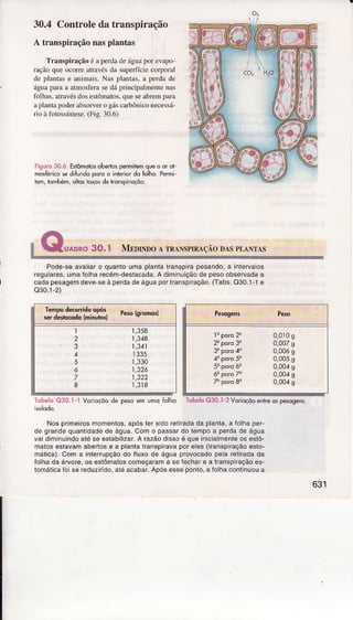 30.4 Controleda trânspiração
A trânspirâçãonâsplantàs
TrânspiÍâção é a perdade águapof evâpo
.rçào que ocone atravésda supedíciecorpoml
de pl{Ìtas e anìmaì!. Nas plantas.a perda de
águaparaa atmosferasedá priÌìcipalìnenteÌa!
folhas.atmvésdosestôìnatos.queseabrempara
aplantapoderabsorvero gáscaÍbôniconecessá
rn) à fotos!íntese.(Fig. 30.6)
liruq 30.á Eíômolosabenospermitemqueo or ol
mosÍêricoseditundoporoo inreriordo folho.Permi
rem,bmbém,oltqstoxÕsdetonspiroçõÕ.
,rfur
: Wvaono go,t Mmrloo I rr"lrsnnaÇÃoDAsPr,ÂNTÀs
Pode'sêavaiar o quantoumaplanlalransplrapesando,â inlervalos
reguarês,umaíolharecém'desiacada.A diminuiçãodepesoobservadaa
cadapesagemdeve-seà perdadeáguaportranspiração.(Tâbs.Q30.1-1e
Q30.1-2)
Temm deorido o@5
I . , . reb lqromdsl
iër o6E<odd lmrnurotÌ
l
2
3
5
8
r,358
I,344.
1,341
ì335
1,330
t,326
1,322
1,3t8
Ìobrlo çì3C.1-lVorloçõode pesoemlmo fôlho Tdbèlo030.1-2Vorìoçõoenl
NosprimeiÍosrnomentos,apóslers doreliradadaplânla,a Íolhaper
degrandequantdadedeágua.Como pâssardolêmpoa perdadeágua
vaidimin!indoalé se eslâbilizar.A razâod ssoé queinicialÍnenteos estô-
matoseslavamabertose a planlairanspiÍavaporeles(iÍanspiÍaçãoesto-
málica).Coma inlerrupçáodo Íluxode águaprovocadopelarêliíâdada
Íolhadaárvore,oseslôÍnatoscomeçararna seíechare a lranspraçãoes-
toÍnáticafo sereduzrido,aléacabaÍ.Apósesseponlo,a íolhacontnuoua
1"poro2" 0,0ì0s
2'pqro3" 0,00/s
3'poro4" 0,00ós
4'poro5" 0,005g
5!poroó! 0,004s
6!pata7e 0,00r'g
7" pórc8" 0,00.4s
TdbèloO30.1-2Vorìoçõoenheospesogens.
 