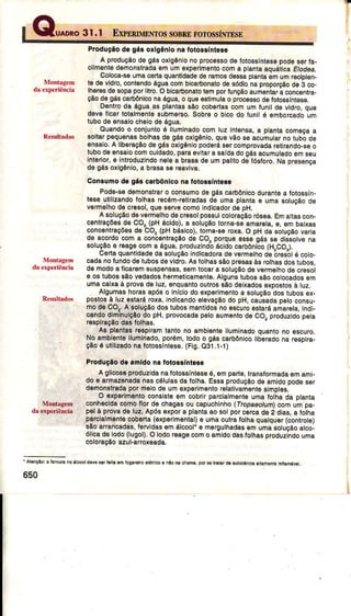 Produçãod6gáaoxlgênlonefot$síntês€
?
A produçãode gásoxigènjono proc€ssodê fotosEíntes6podesêrfa-
cilmentêd€monslradâem umêxperimentocomâ plantaâquállcaE/od€a,
Colocâ-sêumacenaquantldadedê€mosdêssaplântaámumrêciDi6n-
ìe dê vidrc,contendoáguacombtcarbonatod€sódionaproporçãodê à co-
lherêsdêsopaporlltro.O bicaòonetotêmporfunçãoâumêntarà concentra-
çãodêgáscaúônlconaágua,o quêê6timulao procêssod€fotossÍniesê.
Dentrcda águaas plântassáo cobênascom um funildê vidro.ot/ê
deveÍicar totalm€nlôsubmêrso,SobÍ6o blcodo lunité êmborcadoüm
tubodô €nsalocheiodoágriâ.
Ouandoo conjuntoé ilumlnadocom luz intênsa,a plantacomêoaa
sollarpequ€nasboìhaad6 gásoxtgênio,qu6vãosê acumularnotubõde
ên6aio.A lib€raçãodêgásoxigôntopoderás6rcornprovedâr€tirando-sêo
tubodeênaaiocomcuidâdo,paraêvltara Éaídadogásacumuladoemseu
intêflor,e introduzlndonêlêa brasadê rimpalitodóíósforo.Na pí6sencê
d6 gásoxigánio,a brasase reaviva,
Conauno d€ 9á6 carbônlcone ÍotoôaÍntê3e
Pode-s€dêmonstraro consumode gáscaÈônicoduranlêa fotossín-
têsê utilizandofolhasrecóm-r€titadâsd€ uma plantae uma solucãode
vêrmelhod€ cresol,quesôru€comoindicadord€ pH,
A soluçãodêvgmêlhod6cresolpossuicoloraçáorósêâ,Emaliascon_
cenlreçõesdo CO, (pH ácido),â sotuçãotofnâ-s6amârêla!e, em baixâs
concentraçõêsde CO, (pHbásico).toha-se roxa.O pH da sotuçãovârta
dê,acordocom a conc€ìtreçáode co, porque€ssêgás se dissotvena
sotuçaoe reâgecoma água,produzindoácidocarbônlco(H"co.).
Cênaquantldadeda soluçãoIndicadoradê vgrm€lhodeèí6s"olé colo_
câdanoÍundod€tubosdevidro,A6lolhassãoprêsasàs rclhasdostubos,
dê modoa licaremsusponÉas,semtocara soluçãodevêrmêlhod6crêsol
€ os tuboEsãov€dedoshêtmoticâmenlê.Algunslubossãocolocadosêm
umacalxaà provadê luz,ênquantooutrossãodôixados€xpostoEà luz,
Algumashorasâpó6o iníciodo €xpertmêôtoa soluçáodostubos€x-
postosàÌuz estarároxa,Indicando6l€vaçãodo pH,causadapêloconsu-
mod€ CO..A eoluçãodostubosmantidosnoêscurossta.áaíiìâÍêlâ,indi-
candodimlnulçãodo pH,provocadapeloaumentod6 CO, produztdopêta
respirâçâodasfolhas.
As plantasrespilamlanto no ambiênteiluminâdoquantono êscuro.
No ambienteilumlnado,porém,todoo gás carbôntcolib€redona r€sDtra-
çãoé utilizâdonãfotossíntêse.(Fig.O31,1-l)
Produçãóde amldo na Íotossínta6ê
A glicosêproduzidanafoÌosôínlê86é,empartê,transformadaemâm!
do o atmaz€nadanascélulasda Íolha,EsEaproduçáodê amidopodesêr
demonstradapor melodê um6xpêflmentolêlativamêôleslmplêg,
.O axpê m6nloconslsteem cobír pârciatmênt€rjmafotiìâdâ planta
conhocldâcomoflor d€ chagâsou câpuchtnho(Lopaêolum)comum pa-
pêlà provade luz.Apósêxpora plantaao sotporc€rcad62 dtes,â folha
parclalnentêcob€rta(experìmêntaì)o umâoutrafolhaqualquêr(conÍolê)
Êãoarancedâs,íeryidâs€málcool'e m6ígulhâdas€m umasoluçãoalco-
ólicadêiodo(lugot).O iodoreagecomo amidodasfothâsproduziiìdouma
col0€ção azul-affoxêada.
' Ârânçáo:Èrorüà noá.@t dryõe9rr.ìtà.m rooÍÊtroëtárÌe . náonâchànàpôÌ!o lBràrdáeubÊìanotà
t5u
"i
 