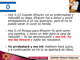  Hos 5:13 Cuando Efrayim vio su enfermedad y
Yahudáh su llaga, Efrayim fue a Ashur y envió
embajadores a un rey guerrero; pero él no te
puede sanar ni curar tu herida.
 Hos 5:14 Porque para Efrayim Yo seré como
una pantera, y como un león para la casa de
Yahudáh – Yo los desmenuzaré y me iré; Yo
me los llevaré y nadie los rescatará.
 Yo arrebataré y me iré: HaShem hará juicio,
y a continuación se irá (o se apartará de ellos).
Kehilah Melech HakavodMoreh Meir Canales
 