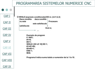 Cap.vi subprograme | PDF