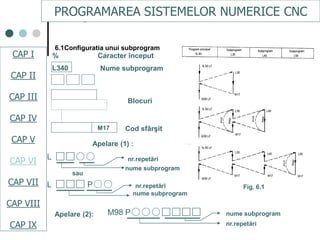 Cap.vi subprograme | PPT