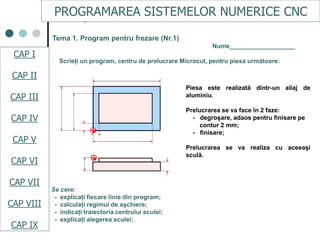 Cap.i istoric si terminologie | PDF