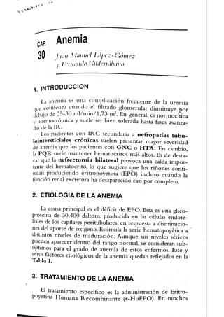 Manual de Nefrología Sellares Cap. 30 anemia 