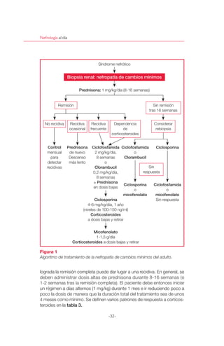 Nefrología al día




                                          Síndrome nefrótico


                           ฀          ฀                ฀   ฀         ฀

                                           ฀1 mg/kg/día (8-16 semanas)


           Remisión                                                         Sin remisión
                                                                         tras 16 semanas


   No recidiva      Recidiva         Recidiva     Dependencia              Considerar
                    ocasional       frecuente           de                  rebiopsia
                                                 corticosteroides


             ฀฀                 ฀
    mensual         de nuevo          2 mg/kg/día,             o
      para          Descenso           8 semanas
    detectar        más lento              o
    recidivas                                                           Sin
                                     0,2 mg/kg/día,                  respuesta
                                       8 semanas
                                     ±             ฀฀
                                     en dosis bajas
                                                               o                  o

                                                                            Sin respuesta
                              4-6 mg/kg/día, 1 año
                           (niveles de 100-150 ng/ml)฀
                                                   ฀฀
                              a dosis bajas y retirar



                                       1-1,5 g/día
                                          ฀a dosis bajas y retirar

Figura 1
Algoritmo de tratamiento de la nefropatía de cambios mínimos del adulto.


lograda la remisión completa puede dar lugar a una recidiva. En general, se
deben administrar dosis altas de prednisona durante 8-16 semanas (o
1-2 semanas tras la remisión completa). El paciente debe entonces iniciar
un régimen a días alternos (1 mg/kg) durante 1 mes e ir reduciendo poco a
poco la dosis de manera que la duración total del tratamiento sea de unos
4 meses como mínimo. Se deﬁnen varios patrones de respuesta a corticos-
teroides en la      ฀

                                                -32-
 