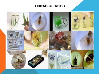 ENCAPSULADOS
 