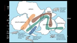 TEORIA DA DERIVA CONTINENTAL
o Alfred Wegener (1915)
- As massas continentais estiveram unidas há cerca de 200 milhões
de anos, formando um supercontinente chamado Pangeia;
- Evidências:
1) Encaixe dos continenetes
- costa leste da América do Sul com a Costa Oeste da África;
2) Existência de fosseis de animais e de plantas semelhantes nesses
continentes.
3) Ocorrência de certos tipos de rocha, depósitos minerais e formações
geológicas semelhantes em regiões da América do Sul e África.
 