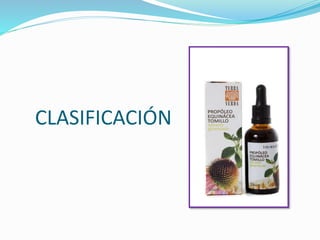 CLASIFICACIÓN
 
