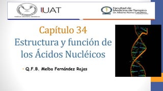 Capítulo 34
Estructura y función de
los Ácidos Nucléicos
• Q.F.B. Melba Fernández Rojas
 