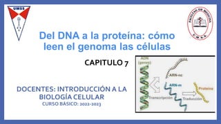DOCENTES: INTRODUCCIÓN A LA
BIOLOGÍA CELULAR
CURSO BÁSICO: 2022-2023
Del DNA a la proteína: cómo
leen el genoma las células
CAPITULO 7
 
