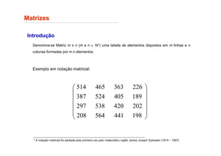 Matrizes
Matrizes
Introdução
Denomina-se Matriz m x n (m e n ∈ N*) uma tabela de elementos dispostos em m linhas e n
colunas formadas por m.n elementos.
Exemplo em notação matricial:
* A notação matricial foi adotada pela primeira vez pelo matemático inglês James Joseph Sylvester (1814 – 1897)














198
441
564
208
202
420
538
297
189
405
524
387
226
363
465
514
 