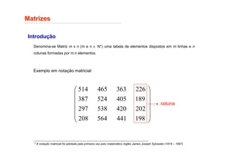 Matrizes
Matrizes
Introdução
Denomina-se Matriz m x n (m e n ∈ N*) uma tabela de elementos dispostos em m linhas e n
colunas formadas por m.n elementos.
Exemplo em notação matricial:
* A notação matricial foi adotada pela primeira vez pelo matemático inglês James Joseph Sylvester (1814 – 1897)














198
441
564
208
202
420
538
297
189
405
524
387
226
363
465
514
coluna
 