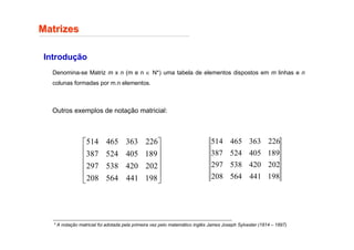 Matrizes
Matrizes
Introdução
Denomina-se Matriz m x n (m e n ∈ N*) uma tabela de elementos dispostos em m linhas e n
colunas formadas por m.n elementos.
Outros exemplos de notação matricial:
* A notação matricial foi adotada pela primeira vez pelo matemático inglês James Joseph Sylvester (1814 – 1897)












198
441
564
208
202
420
538
297
189
405
524
387
226
363
465
514
198
441
564
208
202
420
538
297
189
405
524
387
226
363
465
514
 