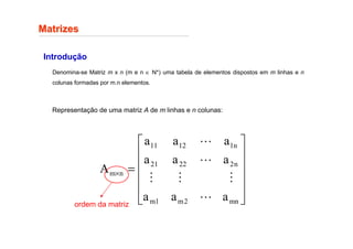 Matrizes
Matrizes
Introdução
Denomina-se Matriz m x n (m e n ∈ N*) uma tabela de elementos dispostos em m linhas e n
colunas formadas por m.n elementos.
Representação de uma matriz A de m linhas e n colunas:












=
×
mn
2
m
1
m
n
2
22
21
n
1
12
11
n
m
a
a
a
a
a
a
a
a
a
A
L
M
M
M
L
L
ordem da matriz
 