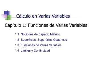 Cálculo en Varias Variables
Capítulo 1: Funciones de Varias Variables
1.1 Nociones de Espacio Métrico
1.2 Superficies. Superficies Cuádricas
1.3 Funciones de Varias Variables
1.4 Límites y Continuidad
 