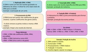 Material Genético e Síntese de Proteínas: Estrutura, Função e Código ...