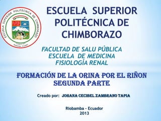 FACULTAD DE SALU PÚBLICA
ESCUELA DE MEDICINA
FISIOLOGÍA RENAL
FORMACIÓN DE LA ORINA POR EL RIÑON
SEGUNDA PARTE
Creado por: JOHANA CECIBEL ZAMBRANO TAPIA
Riobamba – Ecuador
2013
 