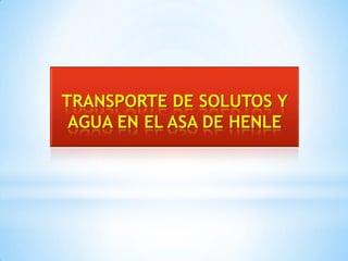 TRANSPORTE DE SOLUTOS Y
AGUA EN EL ASA DE HENLE
 