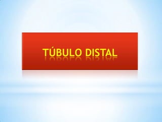 TÚBULO DISTAL
 