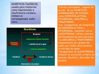 DIURÉTICOS TIAZÍDICOS;
usados para trastornos
como hipertensión e
insuficiencia cardíaca,
inhiben el
cotranspotador sodio-
cloro.
*Células principales ; lugares de
acción de los DIURÉTICOS
AHORRADORES DE POTASIO,
como ESPIRONOLACTONA,
EPLERENONA, AMILORIDA y
TRIAMTERENO.
*Los antagonistas de receptores
de ESPIRONOLACTONA y
EPLERENONA, compiten con la
ALDOSTERONA; inhiben efectos
estimuladores de esta hormona.
*La AMILORIDA y TRIAMTERENO;
bloqueadores de canales del
sodio que inhibe directamente
la entrada de sodio.
*Antagonistas de ALDOSTERONA,
reducen la excreción urinaria de
potasio; diurético ahorrador de
potasio.
 