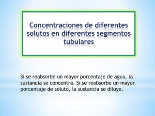 Concentraciones de diferentes
solutos en diferentes segmentos
tubulares
Si se reabsorbe un mayor porcentaje de agua, la
sustancia se concentra. Si se reabsorbe un mayor
porcentaje de soluto, la sustancia se diluye.
 